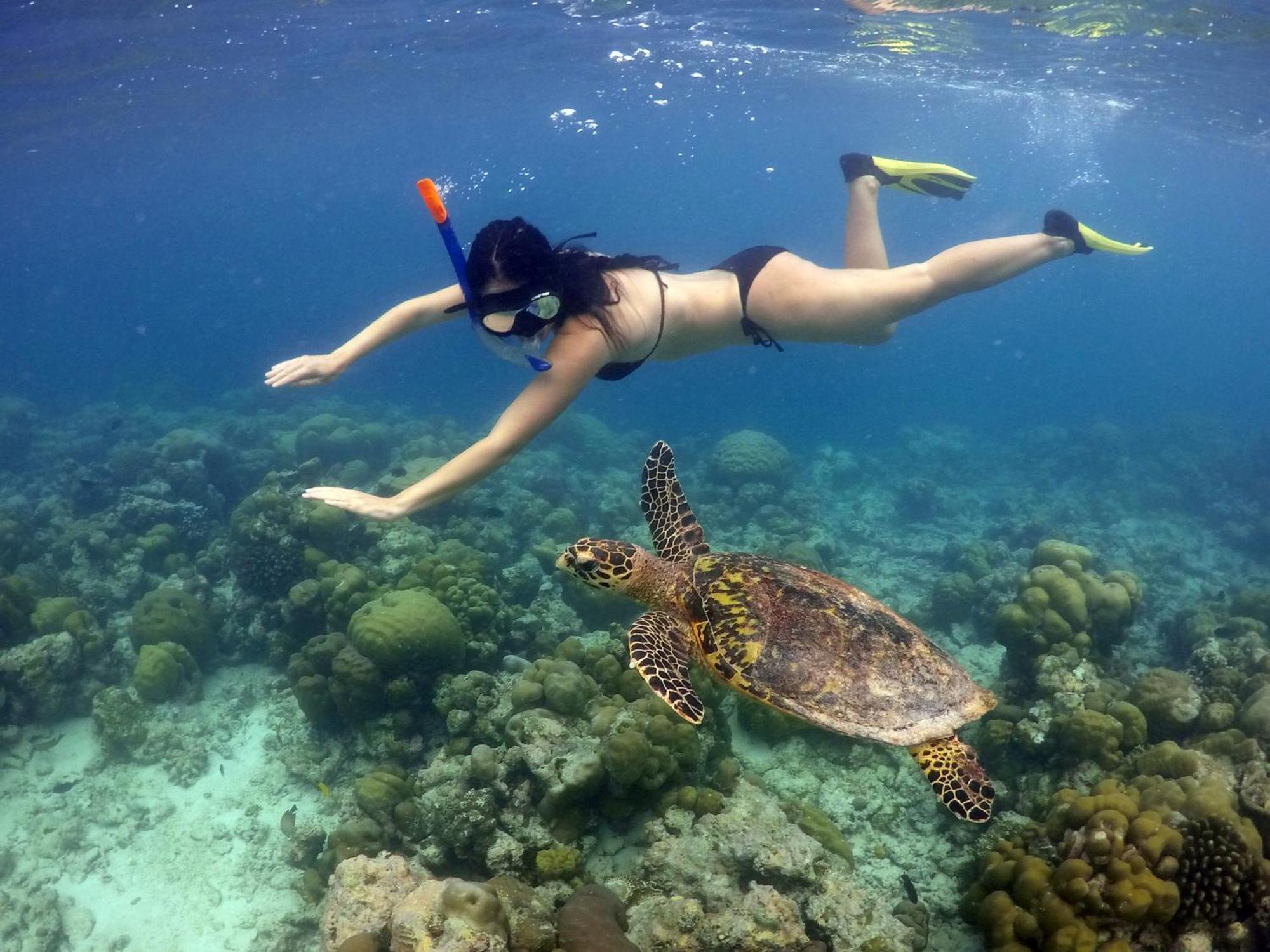 Hanifaru Transit 3* Dharavandhoo
