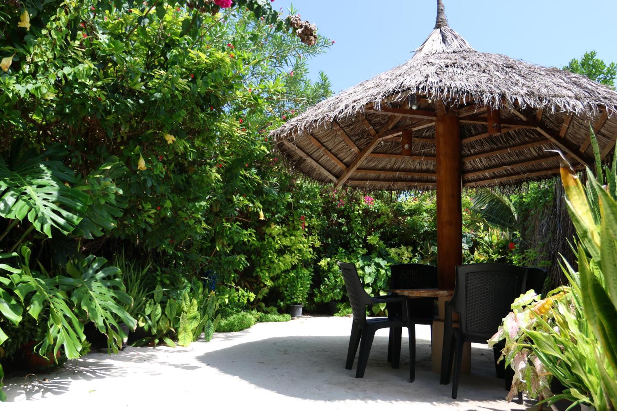 Hanifaru Transit Dharavandhoo