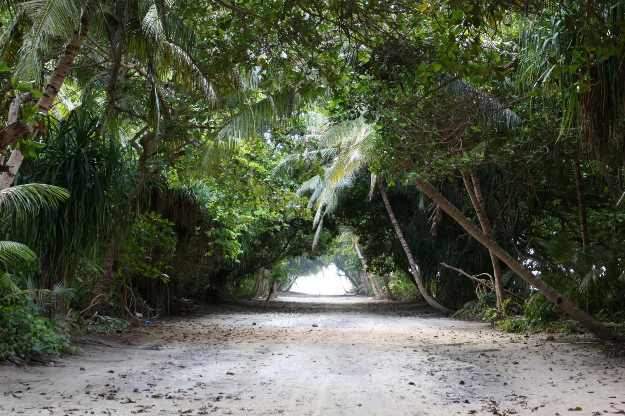 Penzion Hanifaru Transit Dharavandhoo