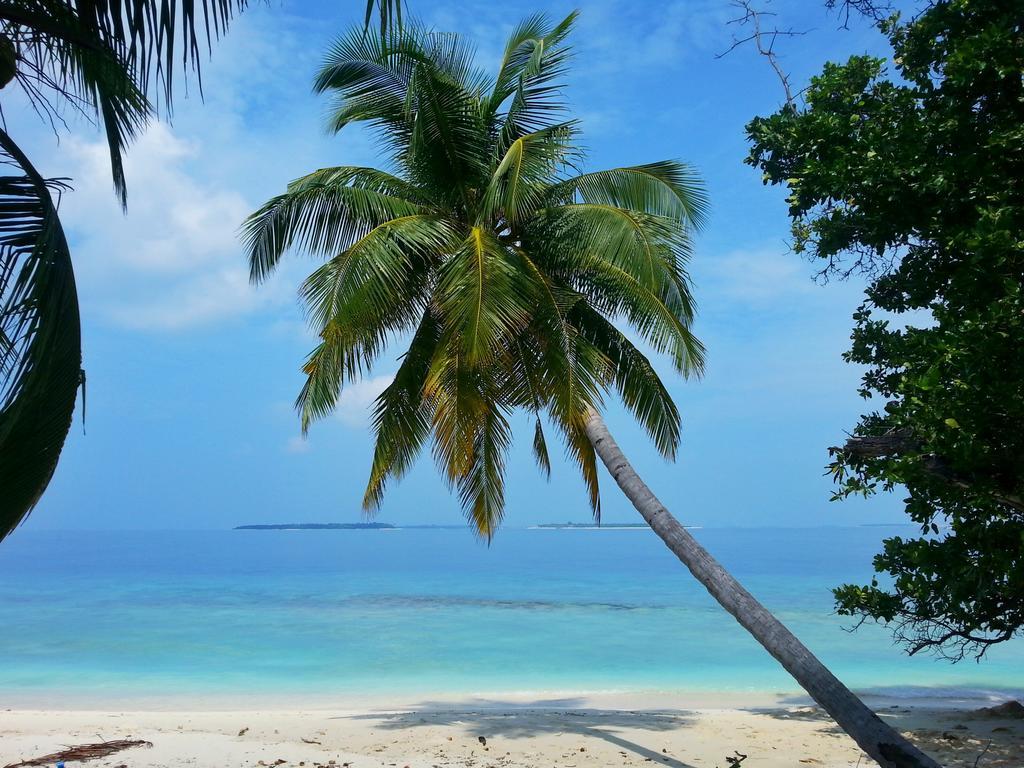 Hanifaru Transit 3* Dharavandhoo